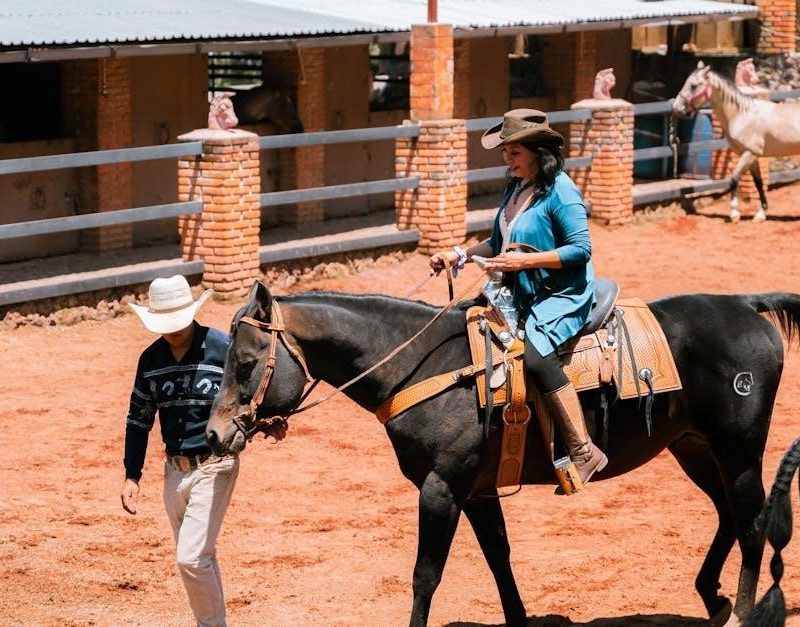 horse blanketing guide