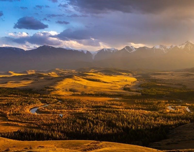 montana field guide
