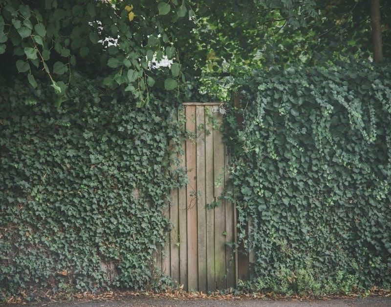 my secret garden nancy friday pdf