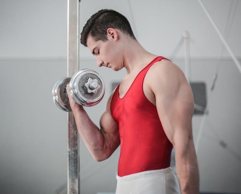 habit nest weightlifting journal pdf