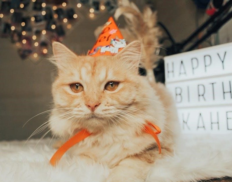 happy birthday sign printable pdf