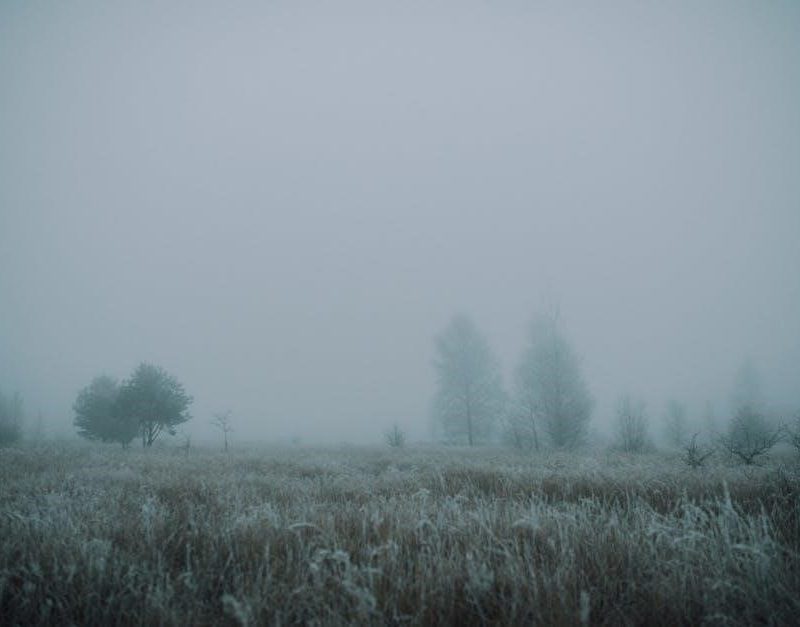 calculus early transcendentals eighth edition by james stewart pdf